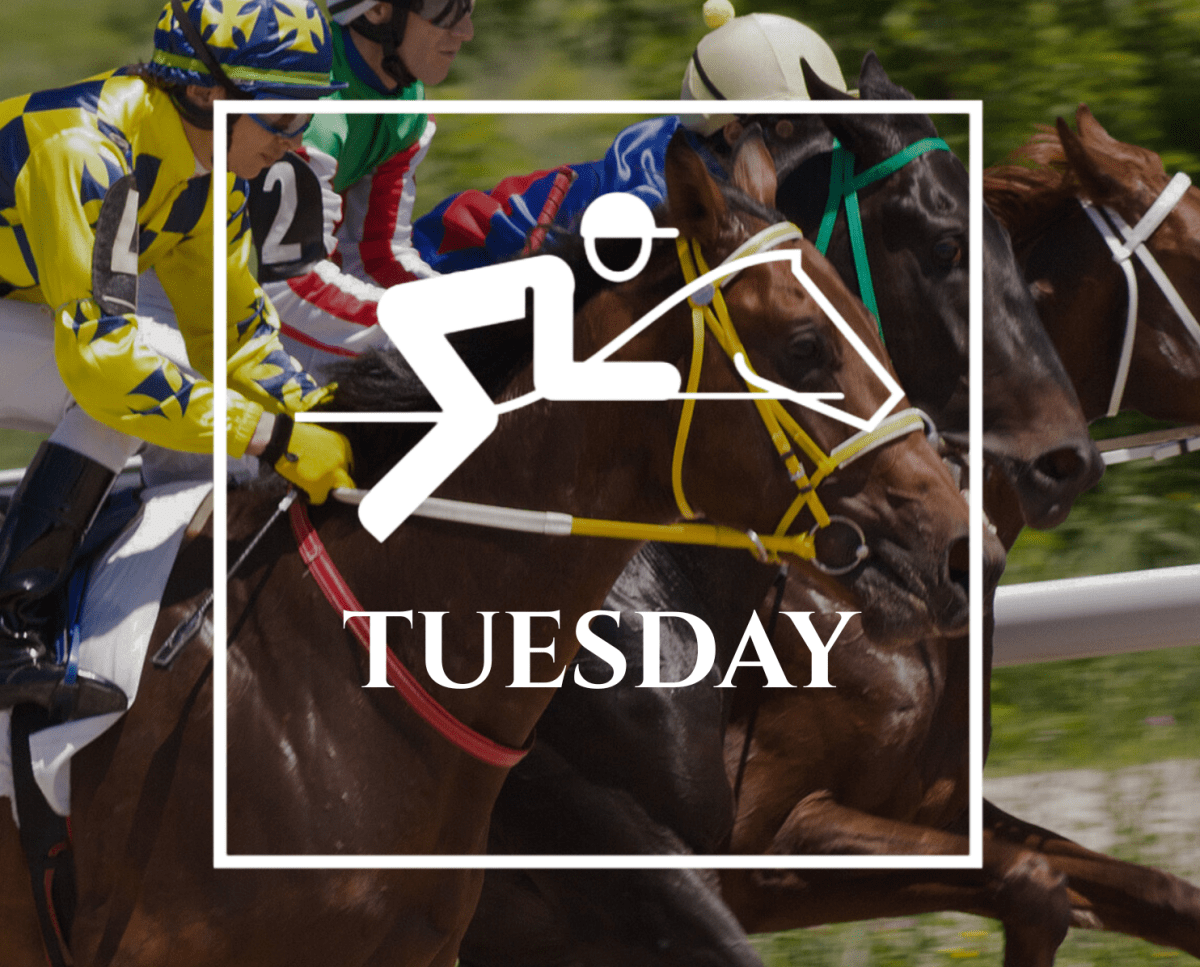 Show Bet Picks – Tuesday, October 14,&nbsp;2025