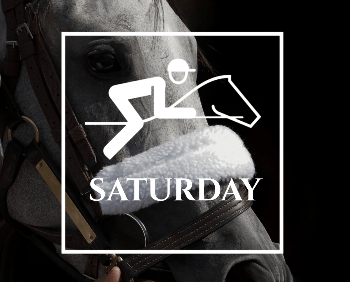 Show Bet Picks – Saturday, October 18,&nbsp;2025